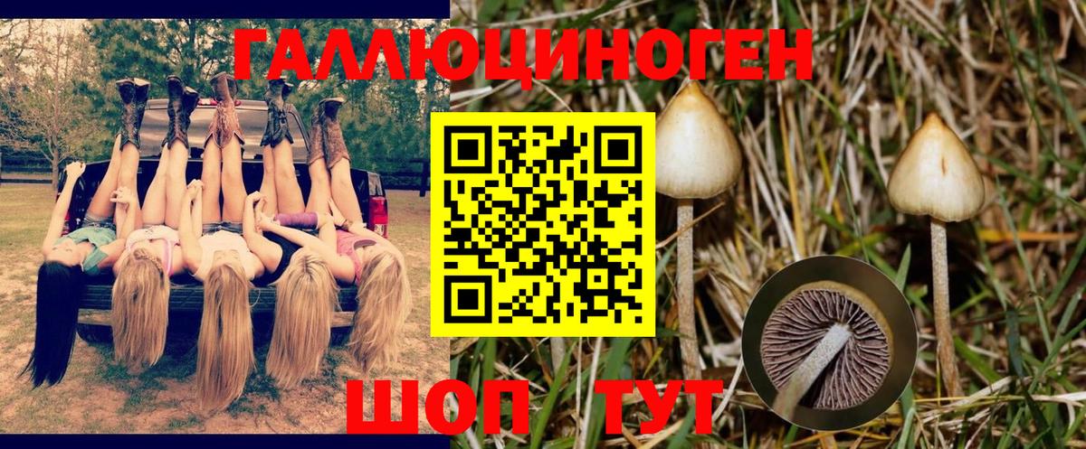Семёнов  Галлюциногенные грибы прущие грибы  Вход с VPN  Псилоцибиновые грибы MAGIC MUSHROOMS 