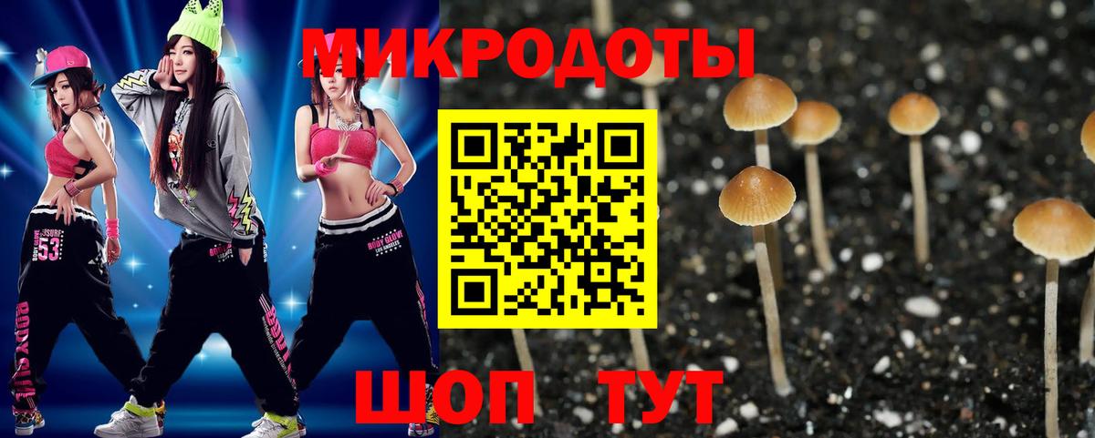 Псилоцибиновые грибы прущие грибы Семёнов